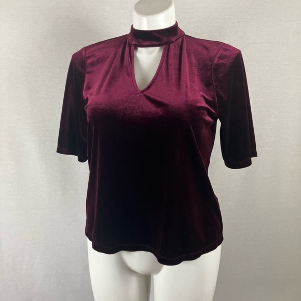 Allison Joy Burgundy Velvet Top